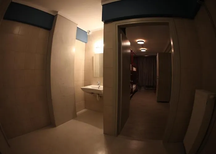 Hybrid Youth 호스텔 *