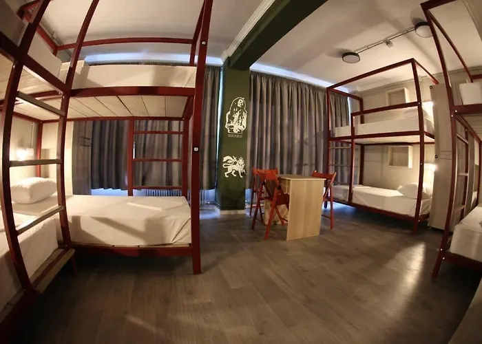 Hybrid Youth 호스텔 *