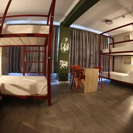 Hybrid Youth אכסניה *